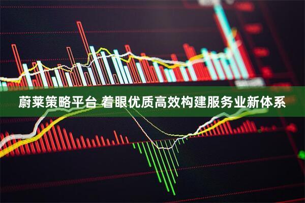 蔚莱策略平台 着眼优质高效构建服务业新体系