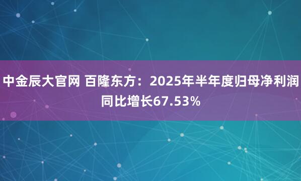 中金辰大官网 百隆东方：2025年半年度归母净利润同比增长67.53%
