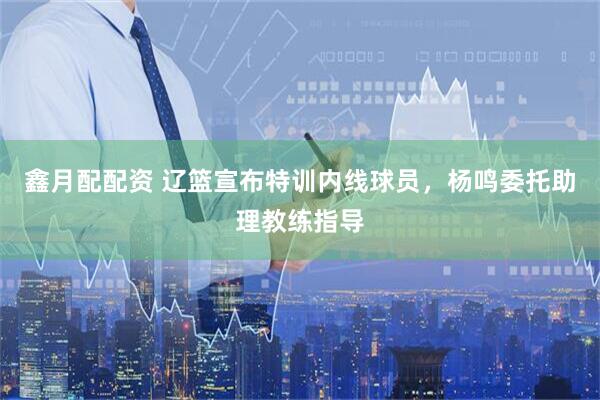鑫月配配资 辽篮宣布特训内线球员，杨鸣委托助理教练指导