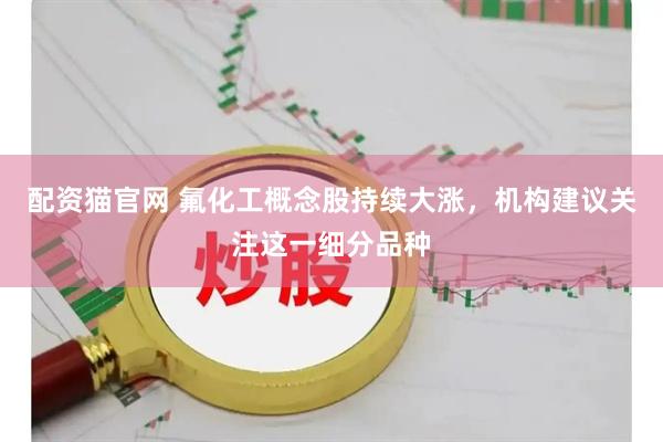配资猫官网 氟化工概念股持续大涨，机构建议关注这一细分品种