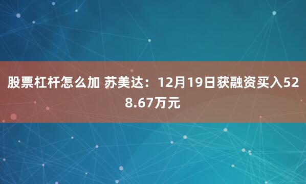 股票杠杆怎么加 苏美达：12月19日获融资买入528.67万元