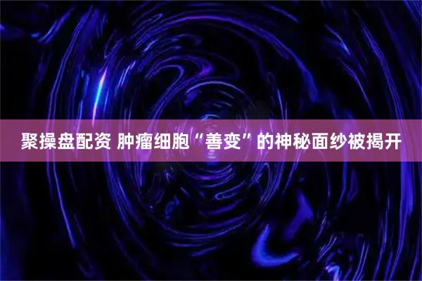 聚操盘配资 肿瘤细胞“善变”的神秘面纱被揭开
