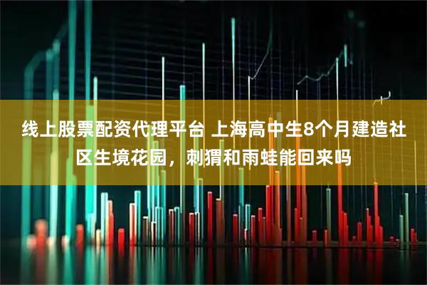 线上股票配资代理平台 上海高中生8个月建造社区生境花园，刺猬和雨蛙能回来吗