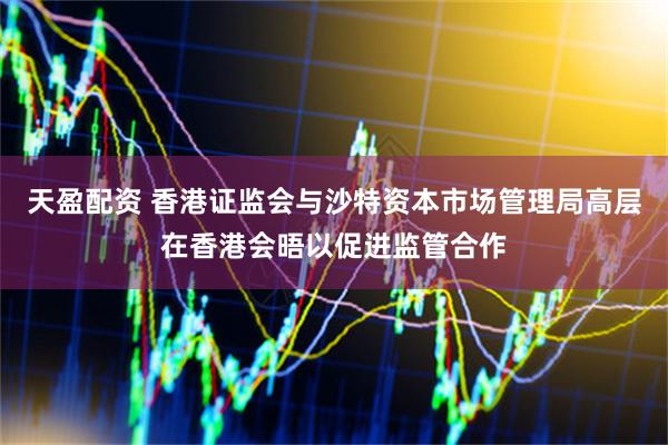天盈配资 香港证监会与沙特资本市场管理局高层在香港会晤以促进监管合作
