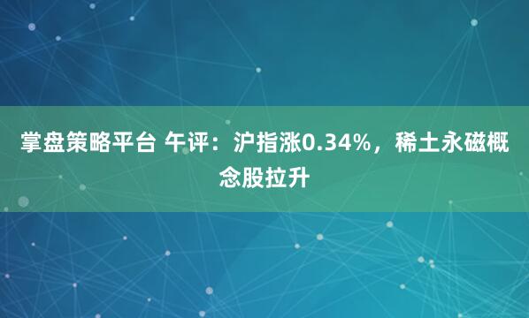 掌盘策略平台 午评：沪指涨0.34%，稀土永磁概念股拉升
