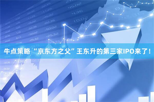牛点策略 “京东方之父”王东升的第三家IPO来了！